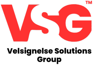 workwithvsg.com